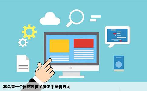 怎么查一个网站它做了多少个竞价的词