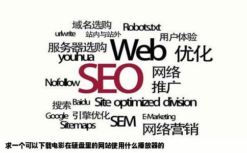 求一个可以下载电影在硬盘里的网站使用什么播放器的