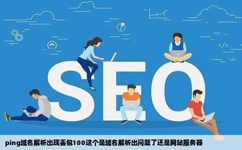 ping域名解析出现丢包100这个是域名解析出问题了还是网站服务器