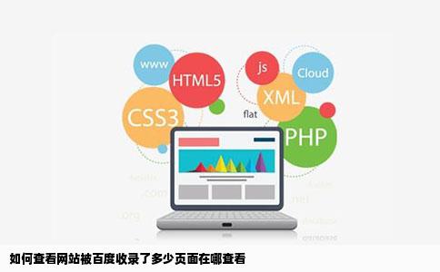如何查看网站被百度收录了多少页面在哪查看