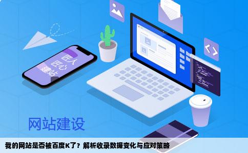 我的网站是否被百度K了？解析收录数据变化与应对策略