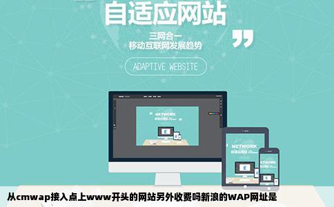 从cmwap接入点上www开头的网站另外收费吗新浪的WAP网址是