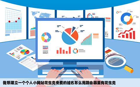 我想建立一个个人小网站花生壳免费的域名怎么用路由器里有花生壳