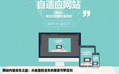 网站内容突失之谜：从收录到消失的搜索引擎探究