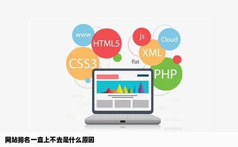 网站排名一直上不去是什么原因