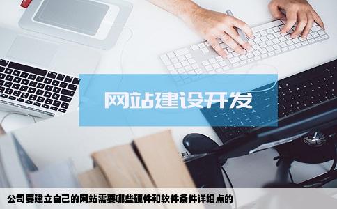 公司要建立自己的网站需要哪些硬件和软件条件详细点的