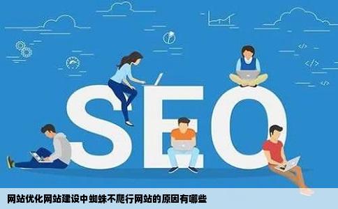 网站优化网站建设中蜘蛛不爬行网站的原因有哪些