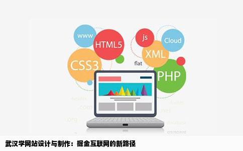 武汉学网站设计与制作：掘金互联网的新路径