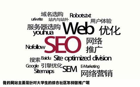 我的网站主要是针对大学生的综合社区怎样做推广呢