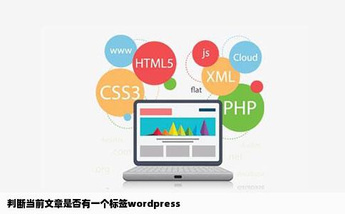 判断当前文章是否有一个标签wordpress