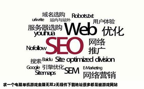 求一个电脑单机游戏金庸无双2无插件下载地址很多都是被游戏网站