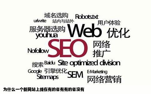 为什么一个新网站上线在有的省有有的省没有