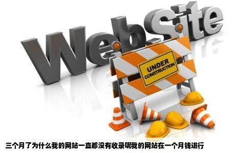 三个月了为什么我的网站一直都没有收录呢我的网站在一个月钱进行