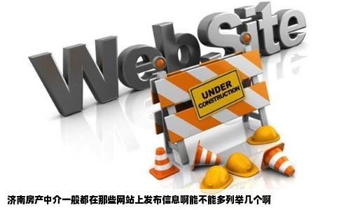 济南房产中介一般都在那些网站上发布信息啊能不能多列举几个啊