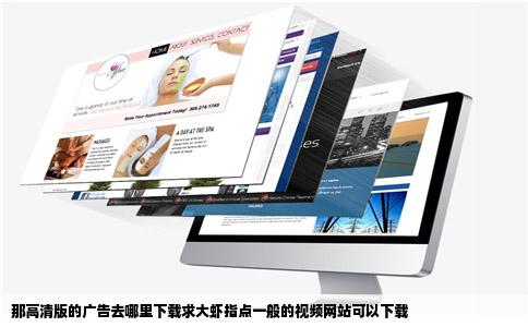 那高清版的广告去哪里下载求大虾指点一般的视频网站可以下载