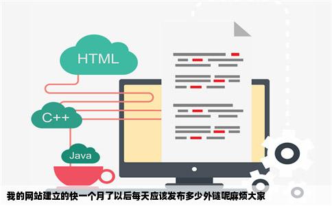我的网站建立的快一个月了以后每天应该发布多少外链呢麻烦大家