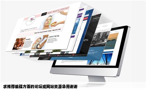 求推荐编程方面的论坛或网站资源急用谢谢