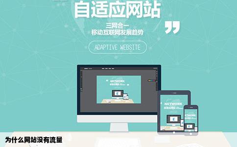 为什么网站没有流量
