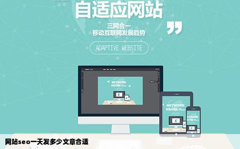 网站seo一天发多少文章合适