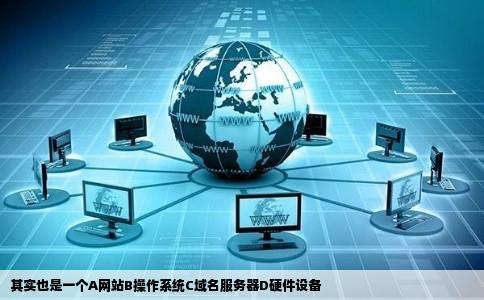其实也是一个A网站B操作系统C域名服务器D硬件设备