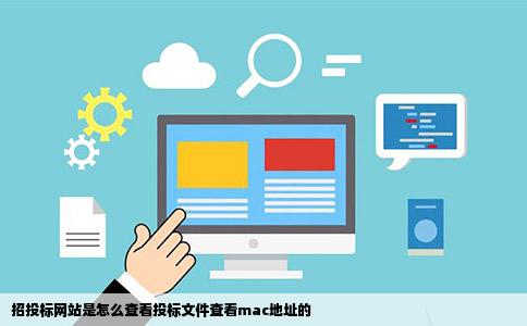招投标网站是怎么查看投标文件查看mac地址的
