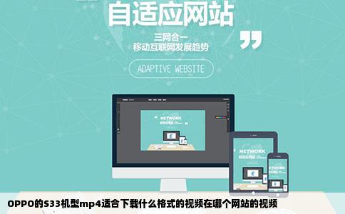 OPPO的S33机型mp4适合下载什么格式的视频在哪个网站的视频