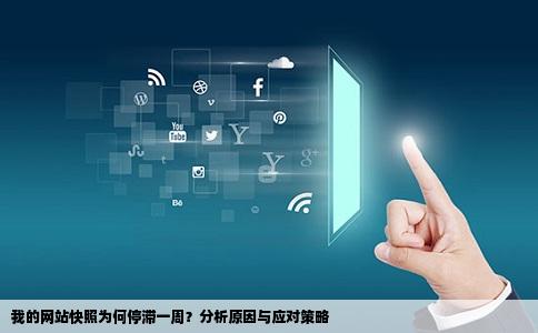 我的网站快照为何停滞一周？分析原因与应对策略