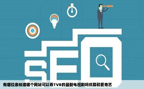 有哪位亲知道哪个网站可以看TVB的最新电视剧吗优酷和爱奇艺
