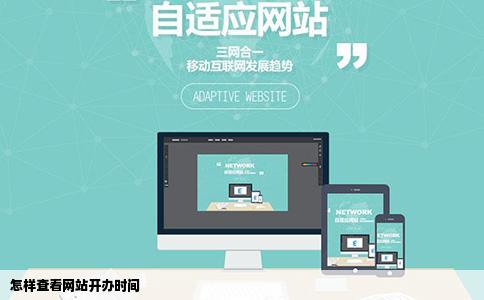 怎样查看网站开办时间