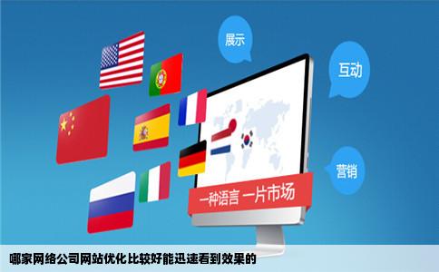 哪家网络公司网站优化比较好能迅速看到效果的