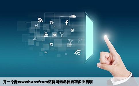 开一个像wwwhaosfcom这样网站总体要花多少钱啊