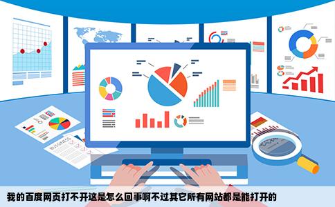 我的百度网页打不开这是怎么回事啊不过其它所有网站都是能打开的