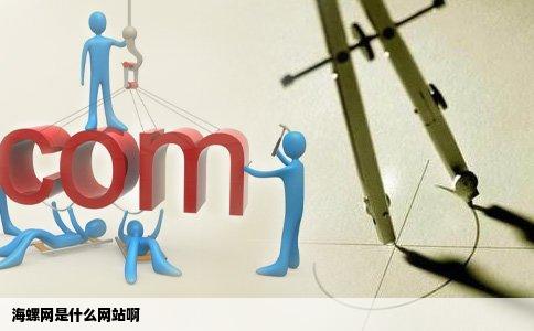 海螺网是什么网站啊