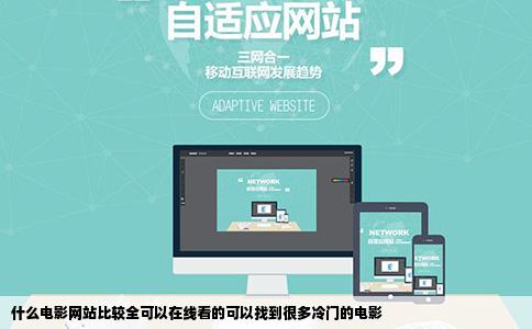 什么电影网站比较全可以在线看的可以找到很多冷门的电影