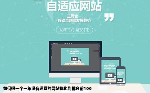 如何把一个一年没有运营的网站优化到排名前100