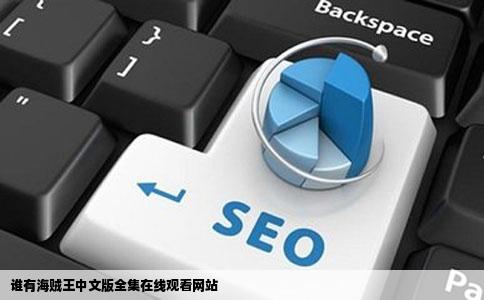 谁有海贼王中文版全集在线观看网站