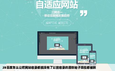 2B百度怎么让把网站收录都搞没有了以前收录的原创帖子现在都被删