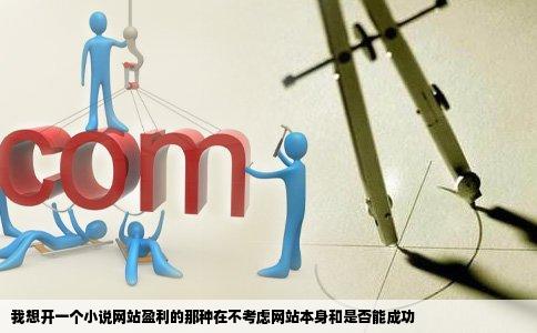 我想开一个小说网站盈利的那种在不考虑网站本身和是否能成功