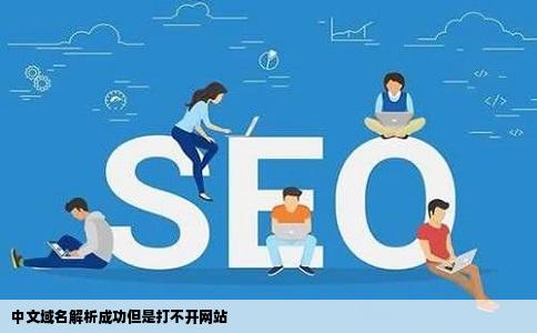 中文域名解析成功但是打不开网站