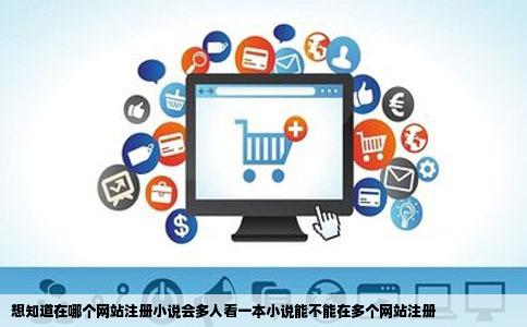想知道在哪个网站注册小说会多人看一本小说能不能在多个网站注册