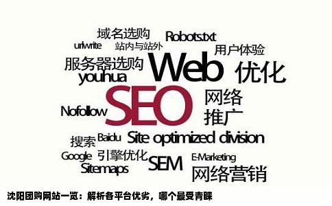 沈阳团购网站一览：解析各平台优劣，哪个最受青睐