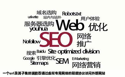 一个url及其子集终端能否通过虚拟专用网络的隧道协议访问外部网站