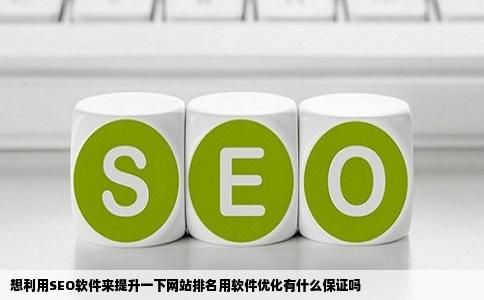 想利用SEO软件来提升一下网站排名用软件优化有什么保证吗