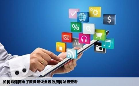 如何看湖南电子政务建设全省政府网站普查看