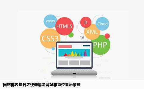 网站排名提升之快速解决网站非首位显示策略