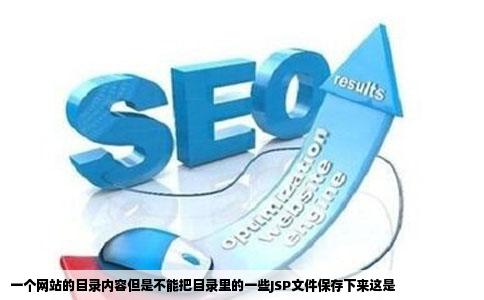 一个网站的目录内容但是不能把目录里的一些JSP文件保存下来这是